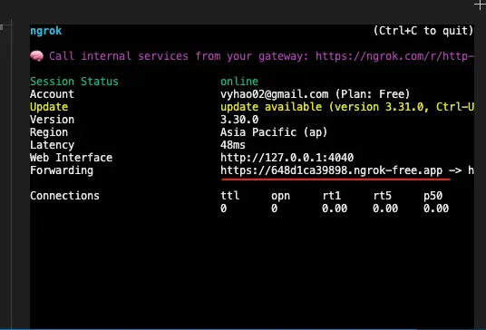 Click on that forward URL created by Ngrok