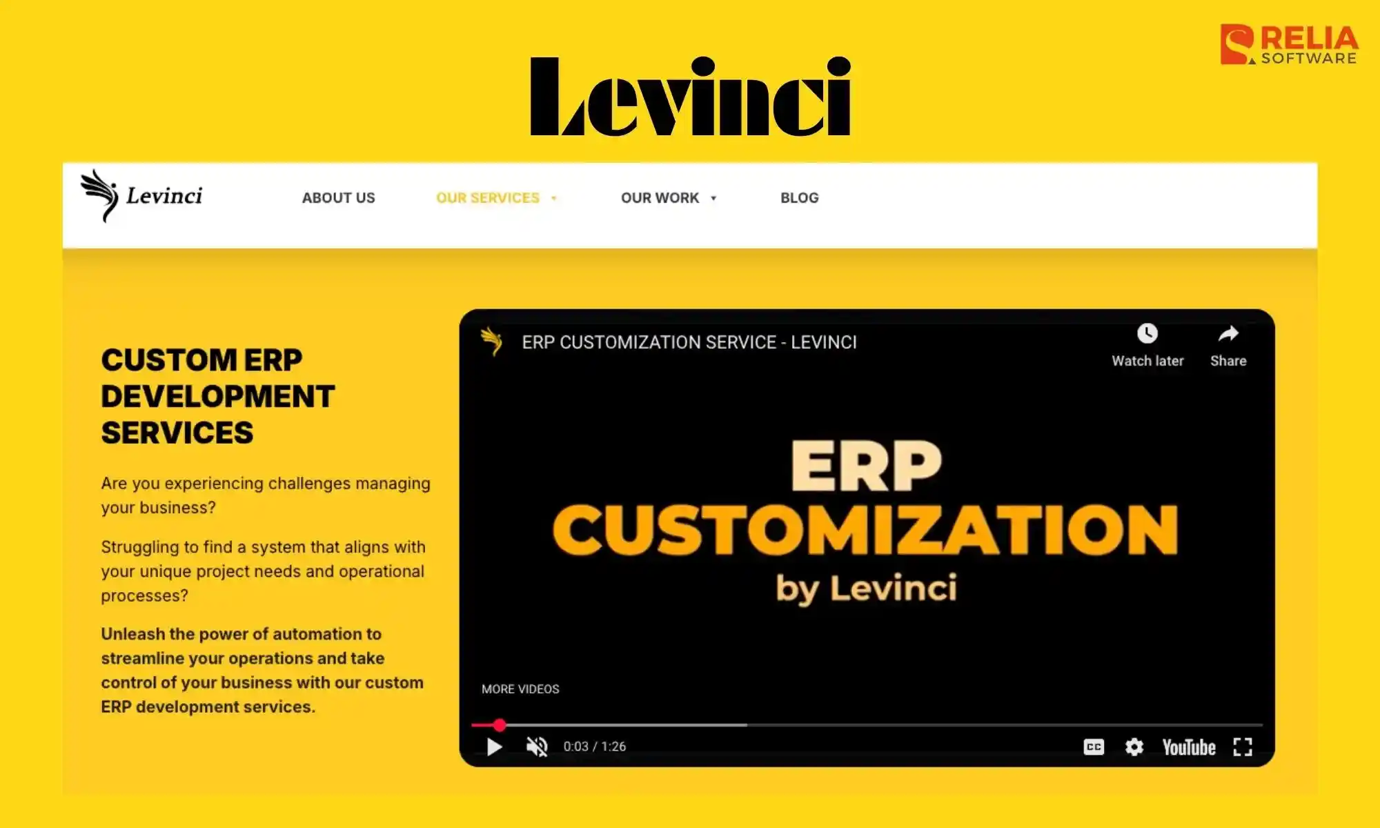 erp development company levinci