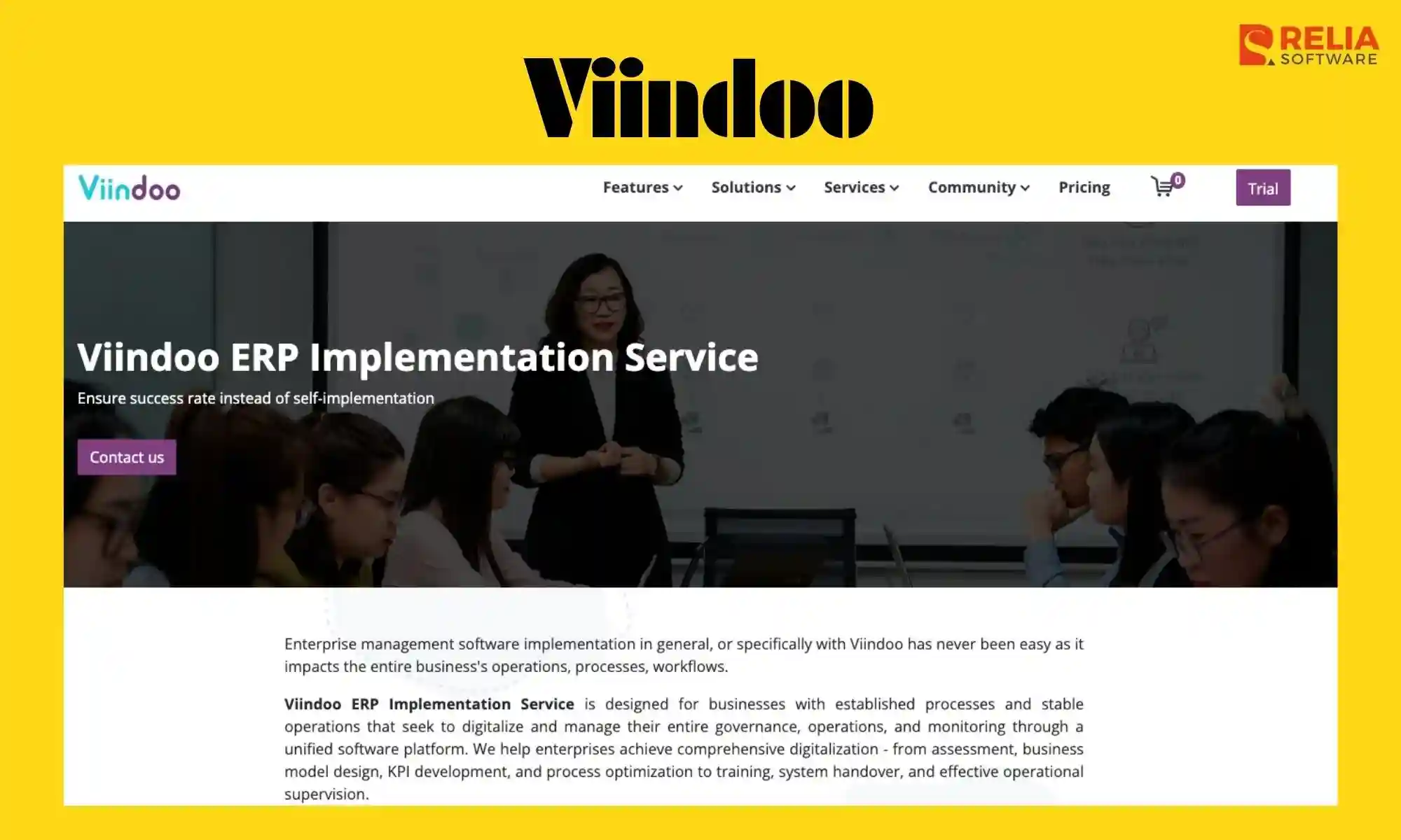erp development company viindoo