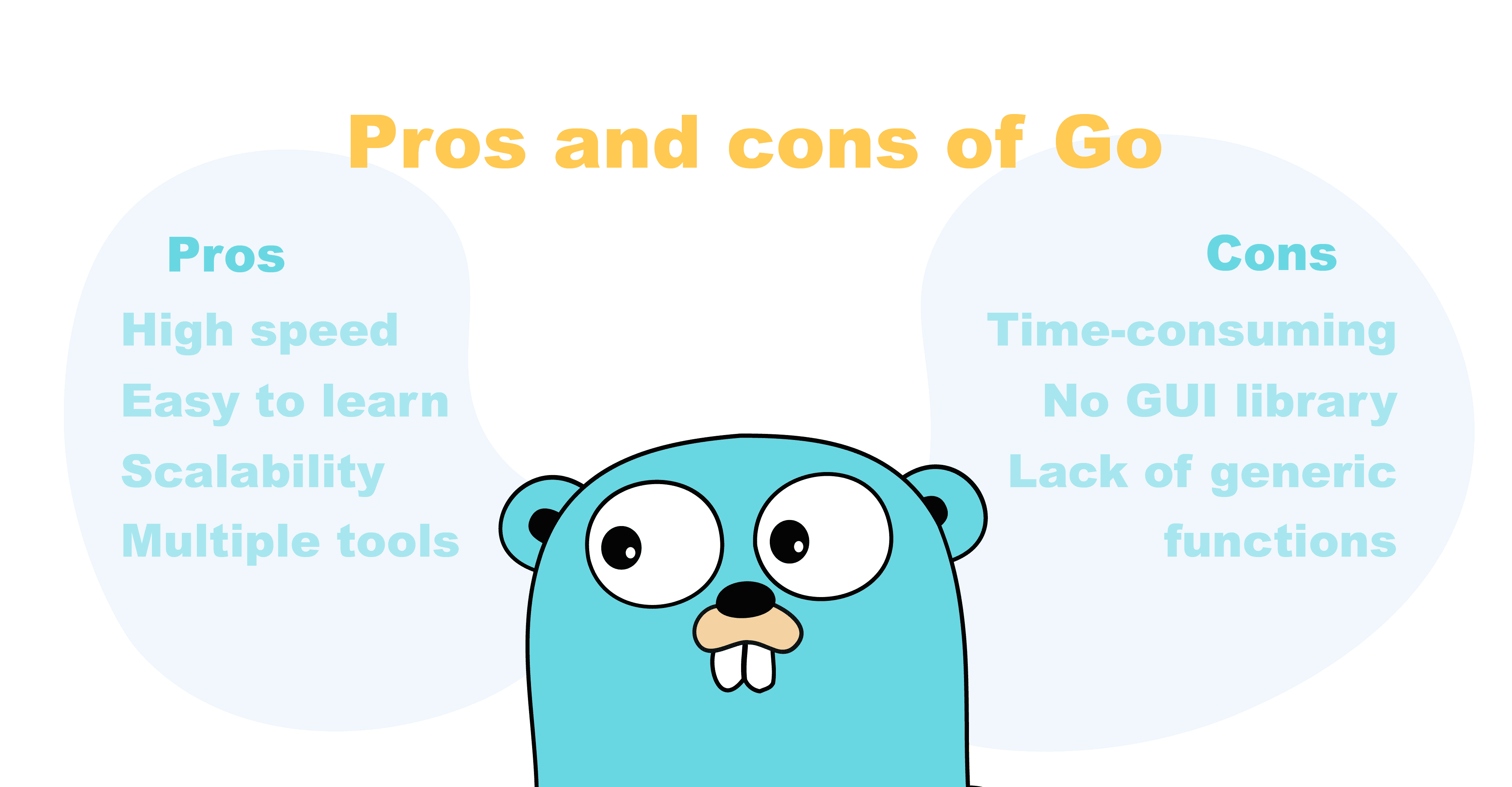 Pros and Cons of Golang