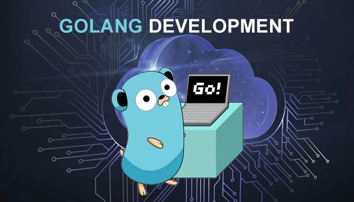 what is golang developers