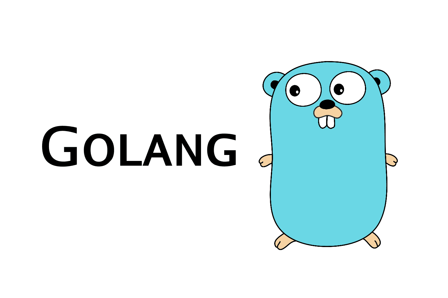 What is Golang Programming Language?