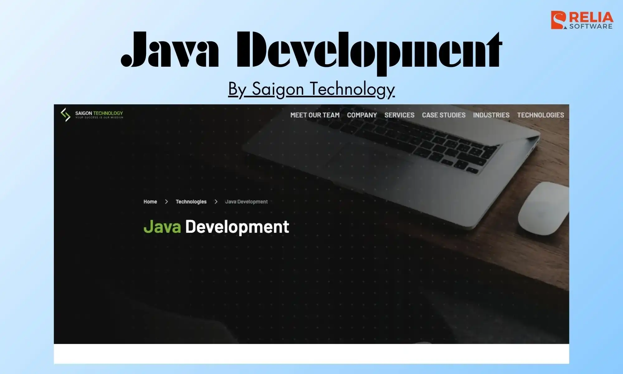 java development company saigon technology