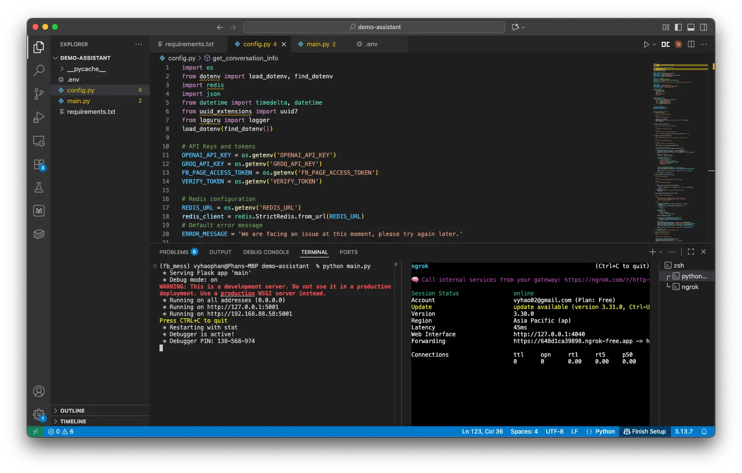 Ngrok terminal output