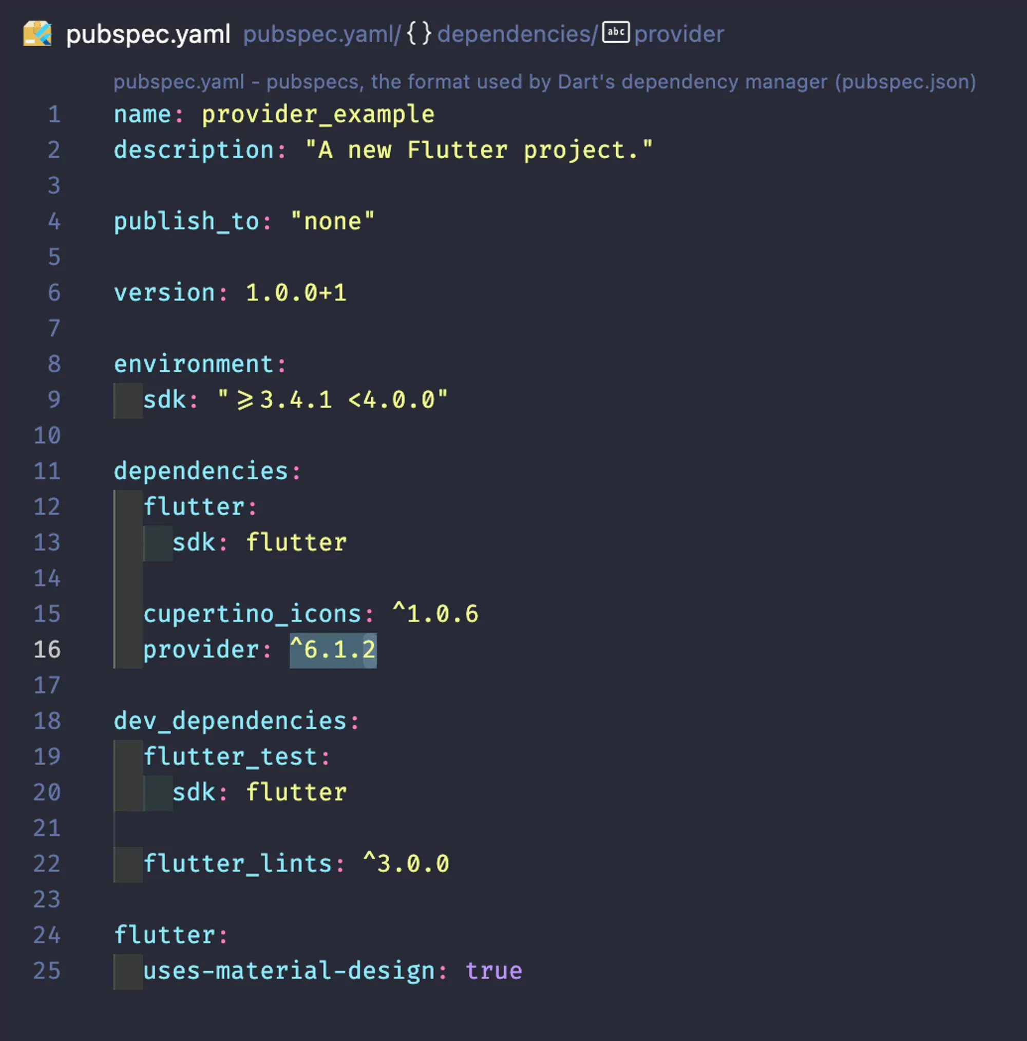 the pubspec.yaml file