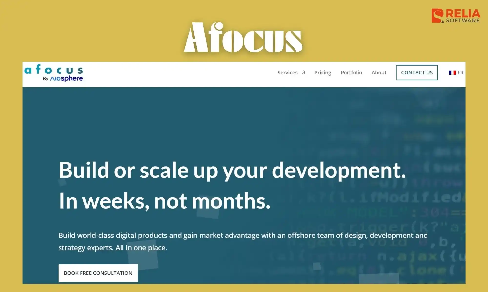 python development company in vietnam afocus