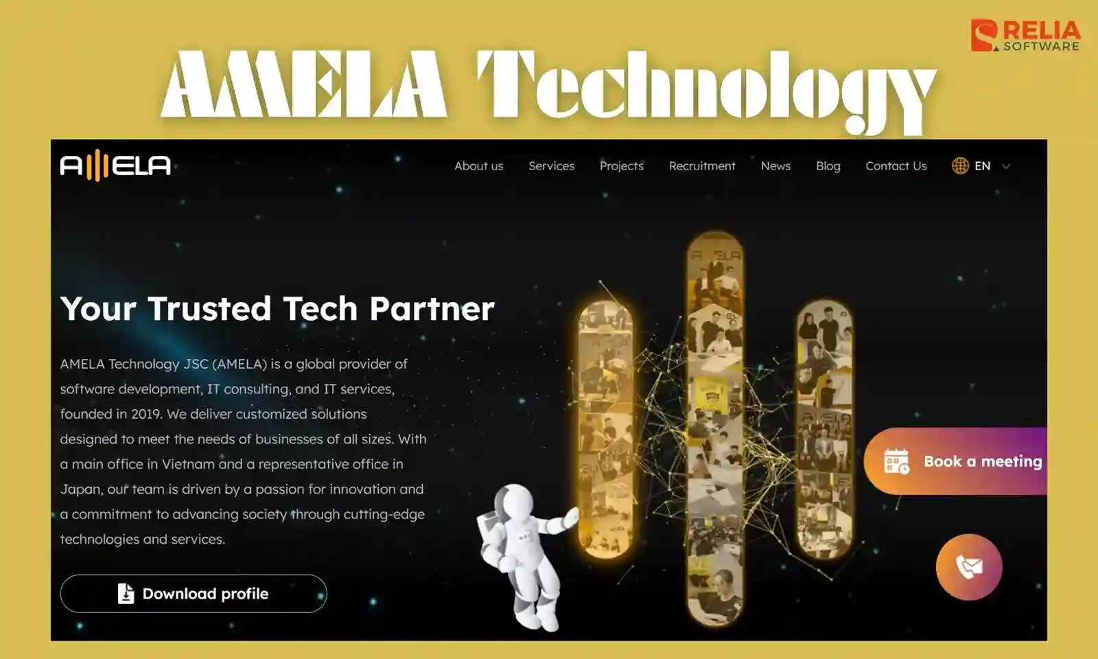 python development company in vietnam amela