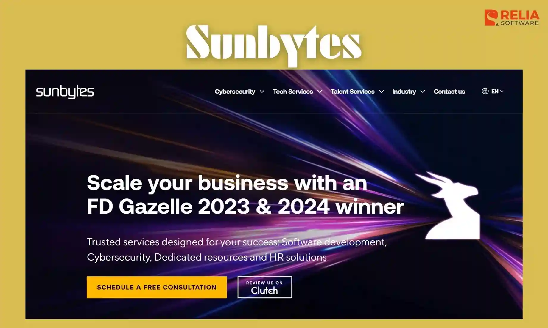 python development company in vietnam sunbytes