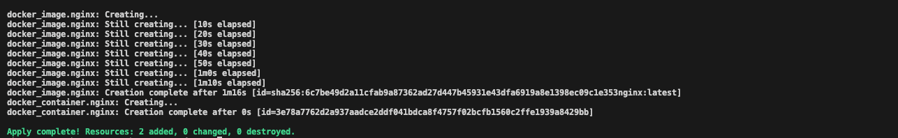 run terraform apply and waiting terraform provisioning for us the nginx container