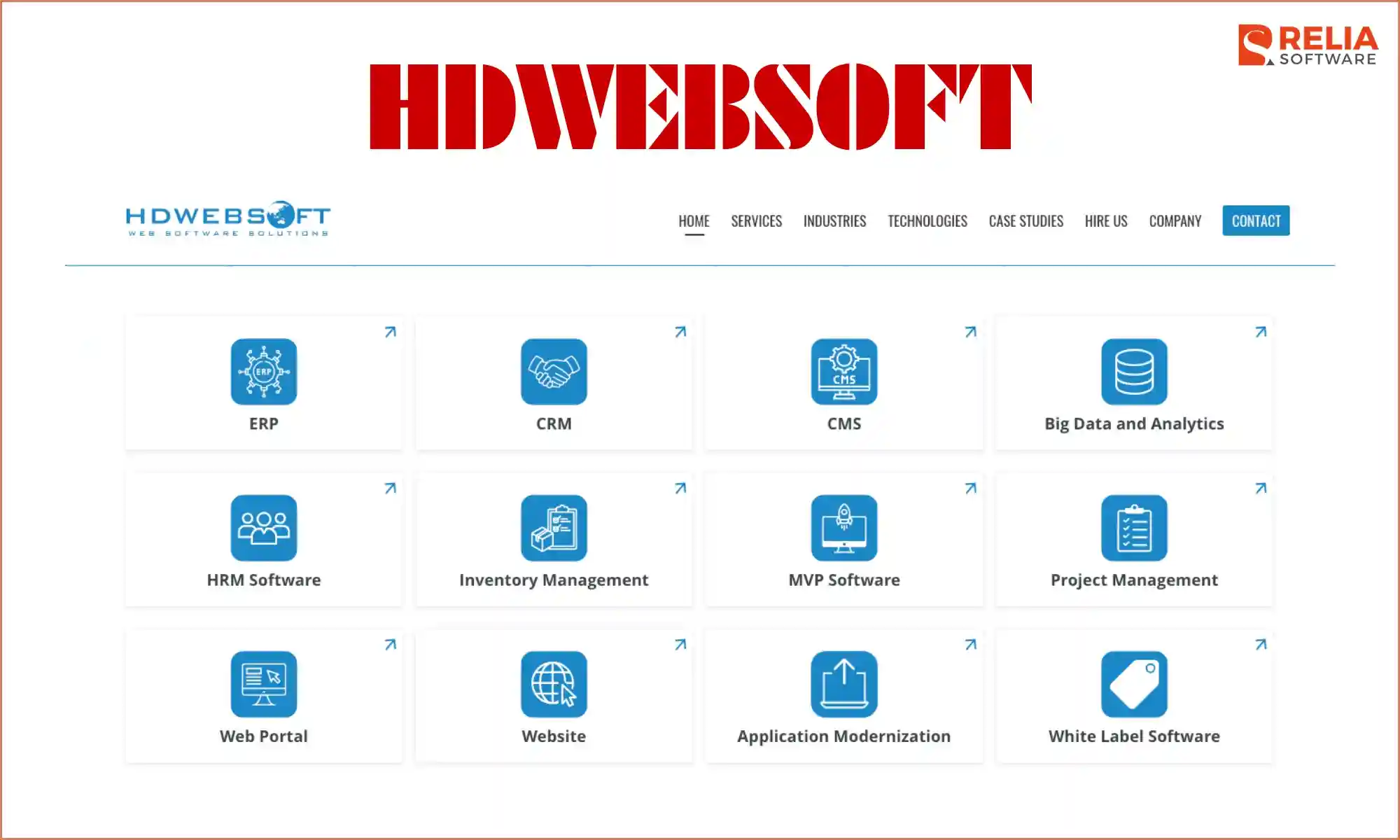 software consulting companies hdwebsoft