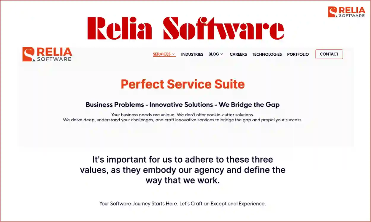 software consulting company relia software