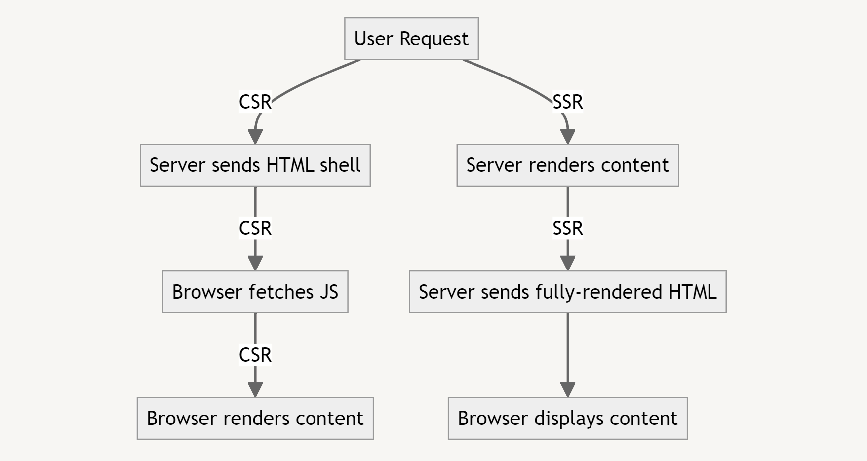 This diagram clearly demonstrates the CSR versus SSR workflow